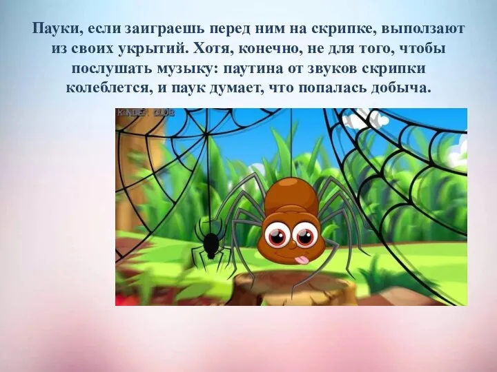 Пауки, если заиграешь перед ним на скрипке, выползают из своих укрытий. Хотя,