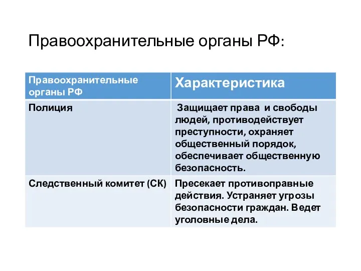 Правоохранительные органы РФ: