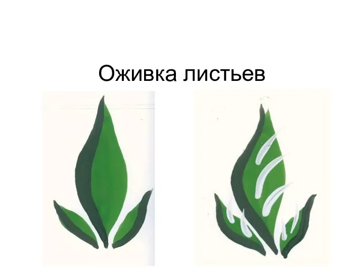 Оживка листьев