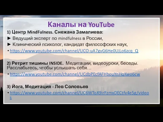 Каналы на YouTube 1) Центр MindFulness. Снежана Замалиева: ► Ведущий эксперт по