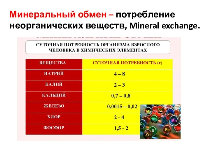 Минеральный обмен – потребление неорганических веществ, Mineral exchange.