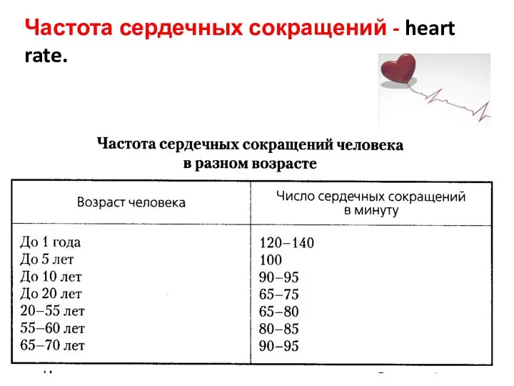 Частота сердечных сокращений - heart rate.