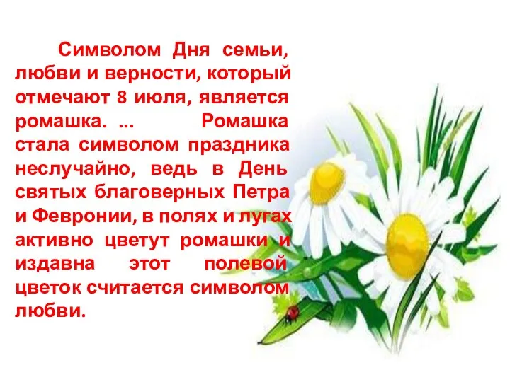 Символом Дня семьи, любви и верности, который отмечают 8 июля, является ромашка.