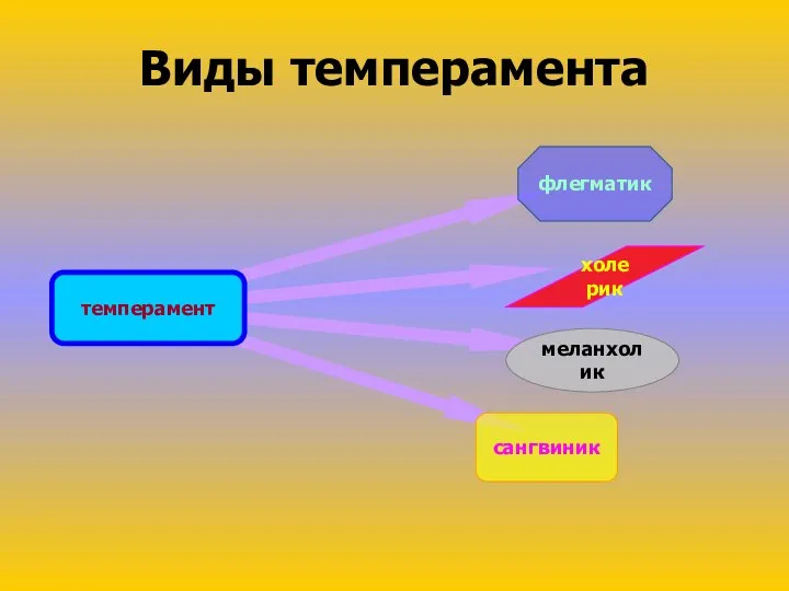 Виды темперамента темперамент флегматик меланхолик холерик сангвиник