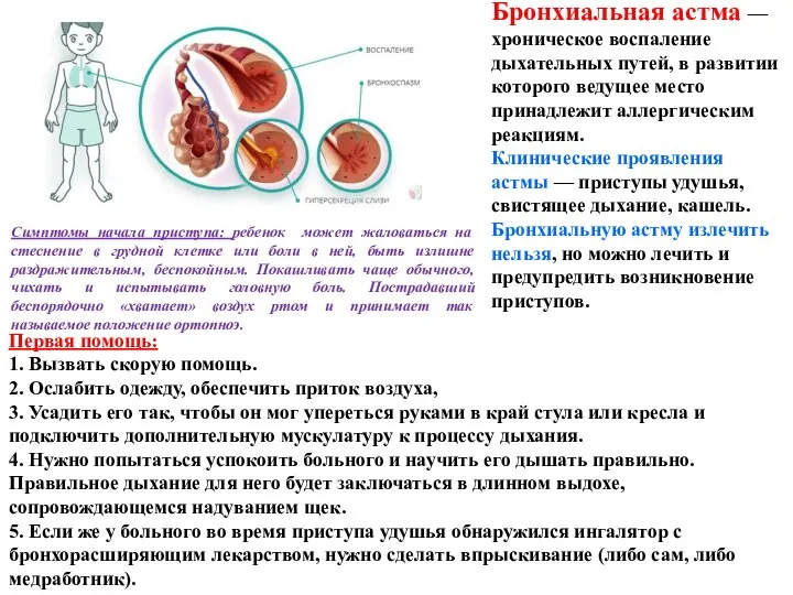 Бронхиальная астма — хроническое воспаление дыхательных путей, в развитии которого ведущее место