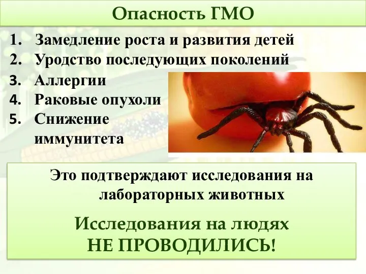 Опасность ГМО Аллергии Раковые опухоли Снижение иммунитета Это подтверждают исследования на лабораторных