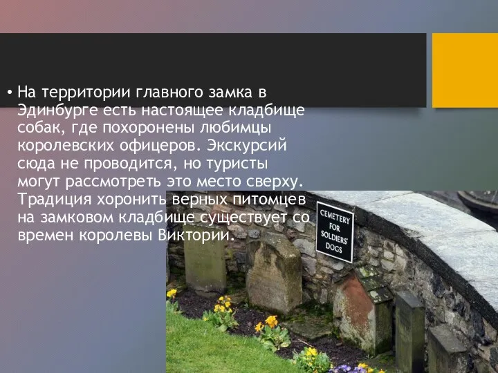 На территории главного замка в Эдинбурге есть настоящее кладбище собак, где похоронены