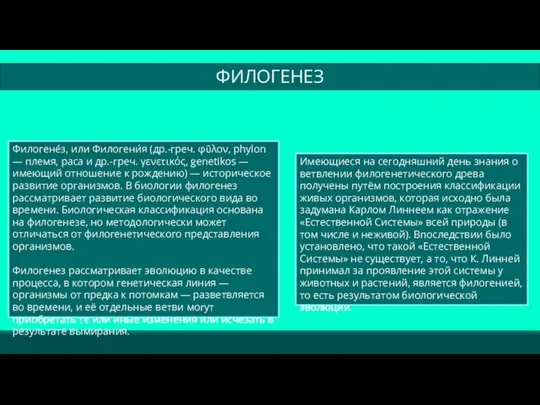 Филогене́з, или Филогени́я (др.-греч. φῦλον, phylon — племя, раса и др.-греч. γενετικός,