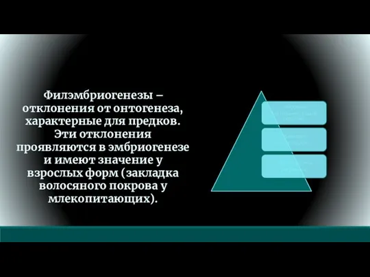 Филэмбриогенезы – отклонения от онтогенеза, характерные для предков. Эти отклонения проявляются в