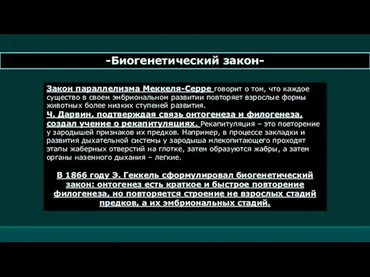 -Биогенетический закон- Закон параллелизма Меккеля-Серре говорит о том, что каждое существо в