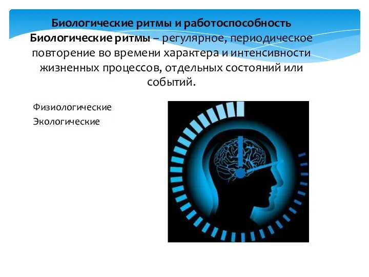 Биологические ритмы и работоспособность Биологические ритмы – регулярное, периодическое повторение во времени