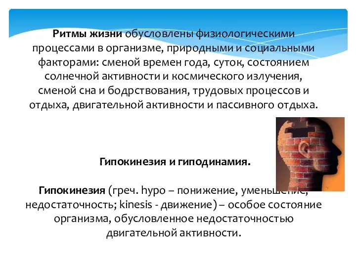 Ритмы жизни обусловлены физиологическими процессами в организме, природными и социальными факторами: сменой