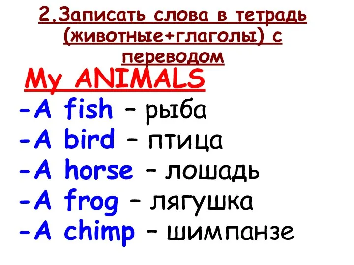 2.Записать слова в тетрадь (животные+глаголы) с переводом My ANIMALS A fish –