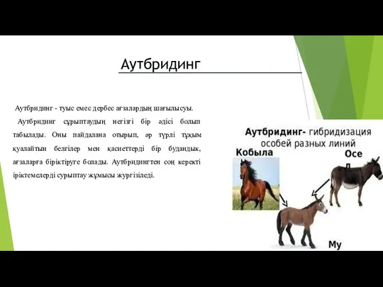 Аутбридинг - туыс емес дербес ағзалардың шағылысуы. Аутбридинг сұрыптаудың негізгі бір әдісі