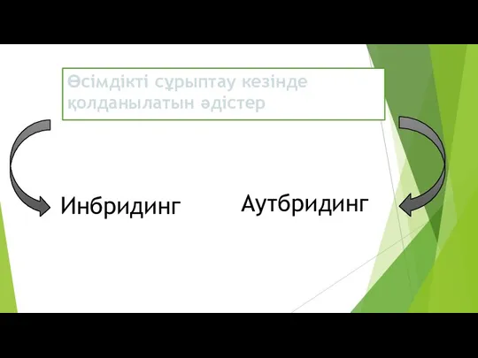 Өсімдікті сұрыптау кезінде қолданылатын әдістер Инбридинг Аутбридинг