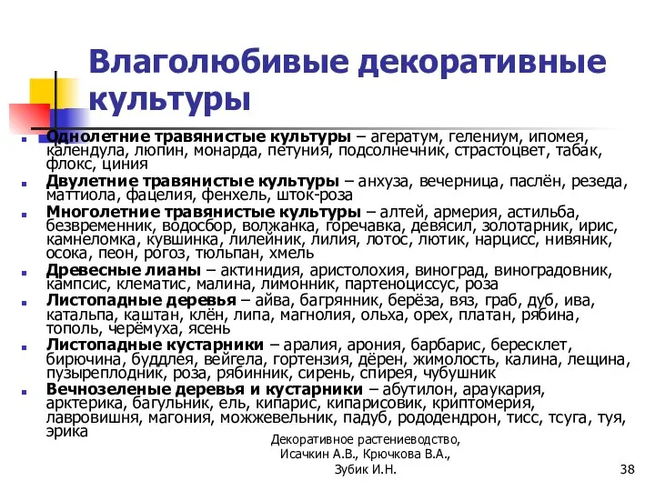 Влаголюбивые декоративные культуры Однолетние травянистые культуры – агератум, гелениум, ипомея, календула, люпин,