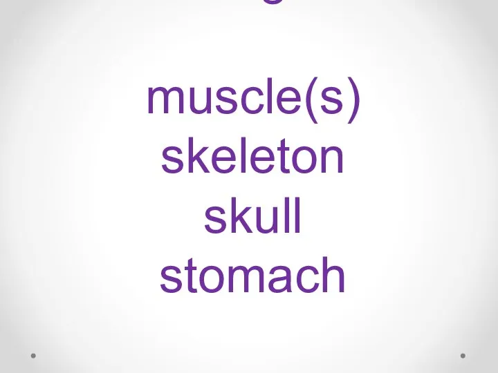 bone(s) brain heart lungs muscle(s) skeleton skull stomach