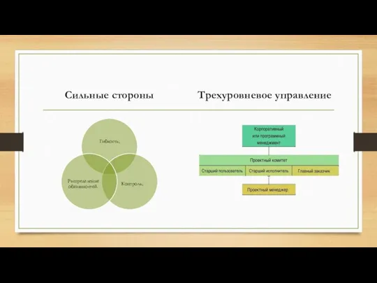 Сильные стороны Трехуровневое управление