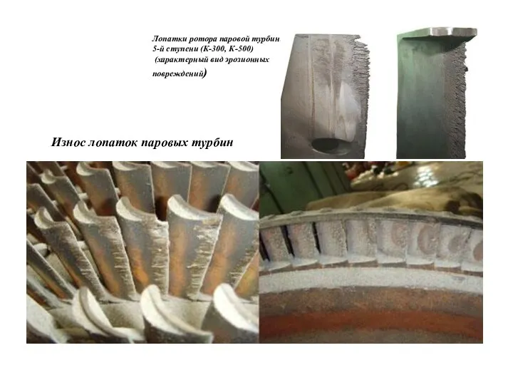 Износ лопаток паровых турбин Лопатки ротора паровой турбины 5-й ступени (К-300, К-500) (характерный вид эрозионных повреждений)