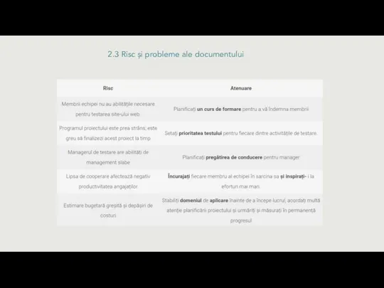 2.3 Risc și probleme ale documentului