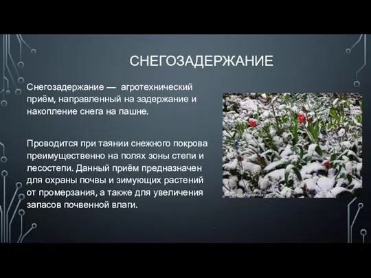 СНЕГОЗАДЕРЖАНИЕ Снегозадержание — агротехнический приём, направленный на задержание и накопление снега на