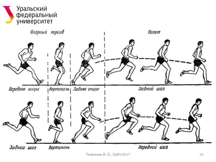 Тимохина В. Э., УрФУ/2017