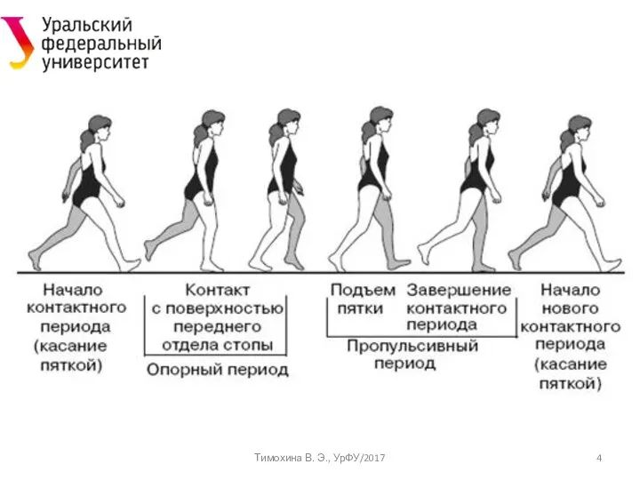 Тимохина В. Э., УрФУ/2017