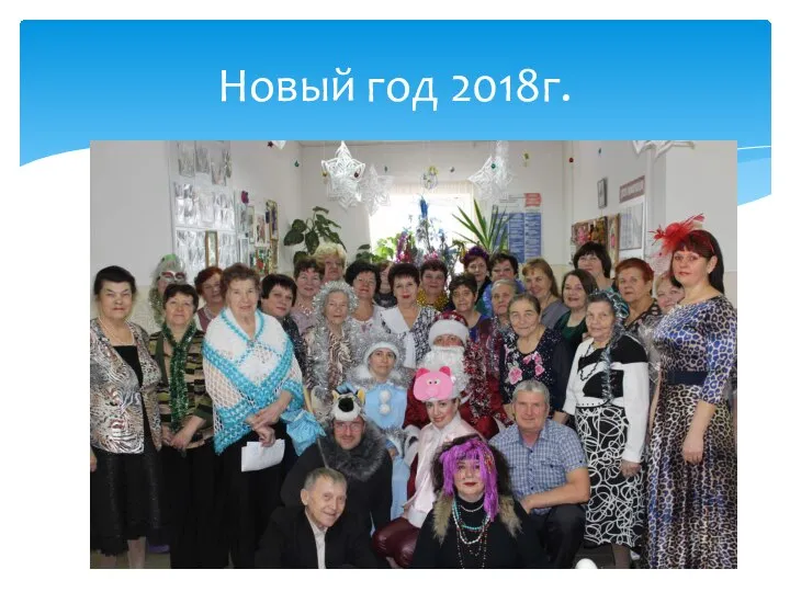 Новый год 2018г.