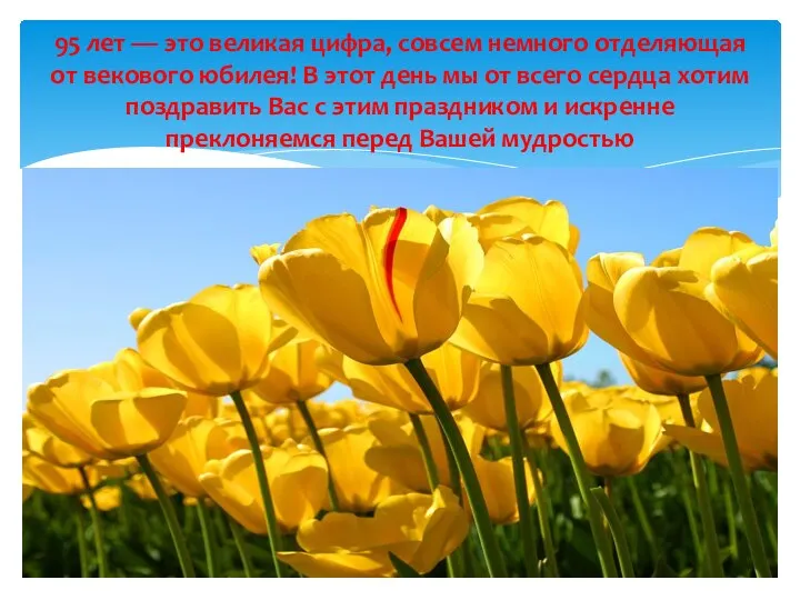 95 лет — это великая цифра, совсем немного отделяющая от векового юбилея!