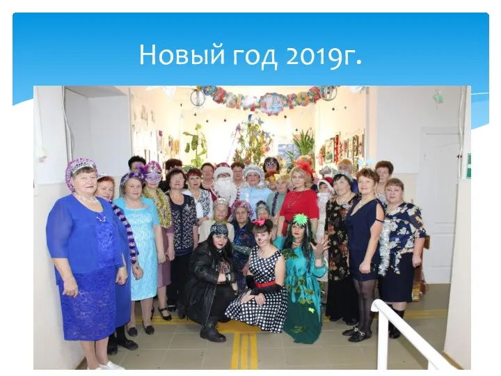 Новый год 2019г.