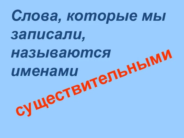 Слова, которые мы записали, называются именами существительными