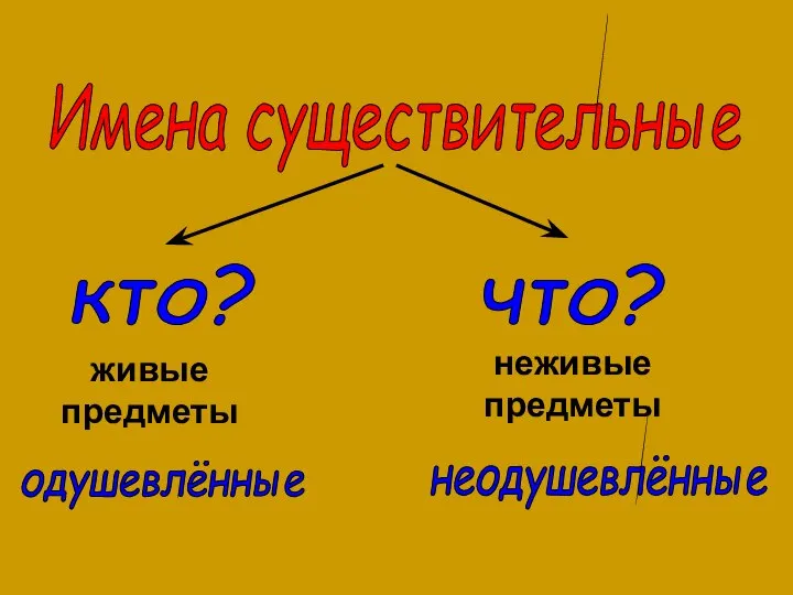 что? кто? неживые предметы живые предметы неодушевлённые одушевлённые Имена существительные