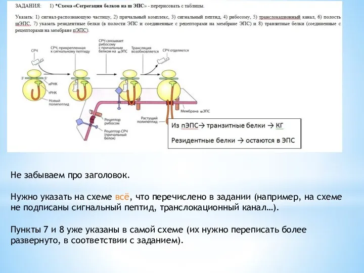 Не забываем про заголовок. Нужно указать на схеме всё, что перечислено в