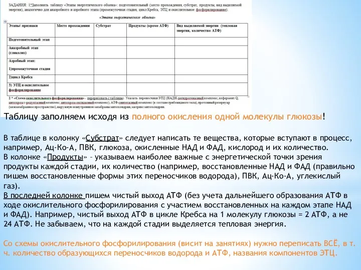 Таблицу заполняем исходя из полного окисления одной молекулы глюкозы! В таблице в