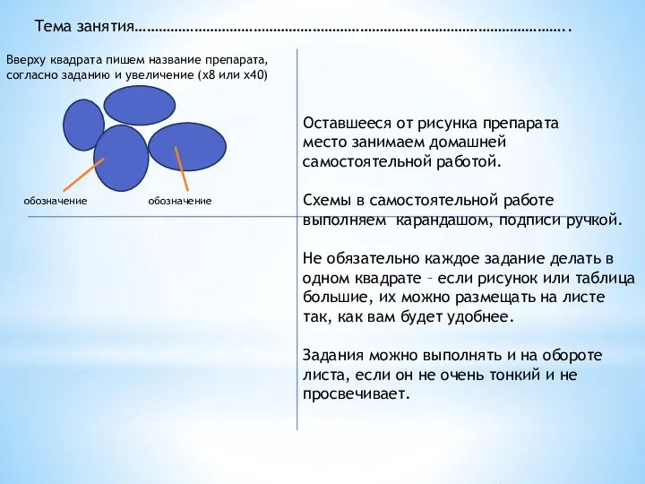 Тема занятия……………………………………………………………………………………………….. Вверху квадрата пишем название препарата, согласно заданию и увеличение (х8