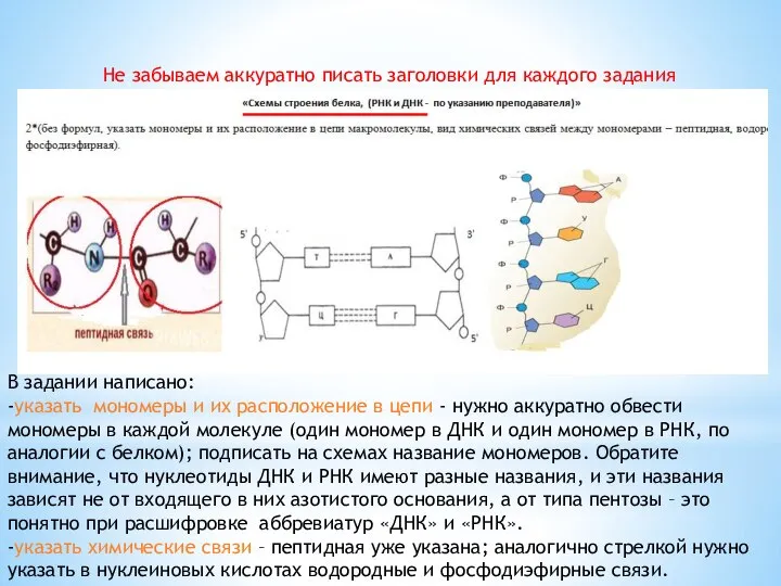 Не забываем аккуратно писать заголовки для каждого задания В задании написано: -указать