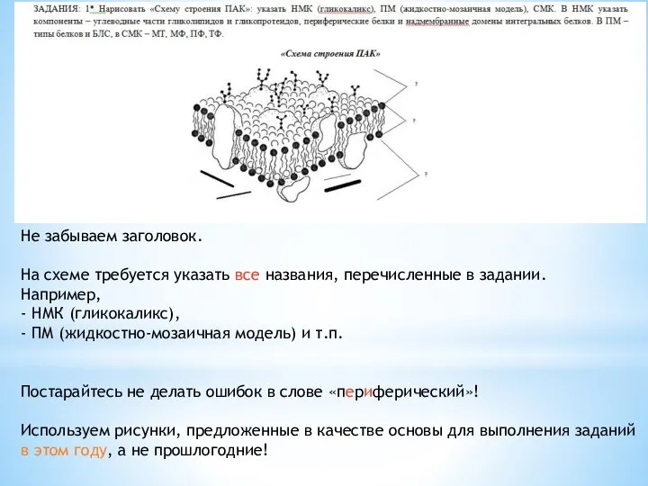 Не забываем заголовок. На схеме требуется указать все названия, перечисленные в задании.