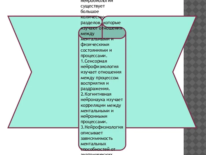 В рамках нейробиологии существует большое количество разделов, которые изучают отношения между ментальными