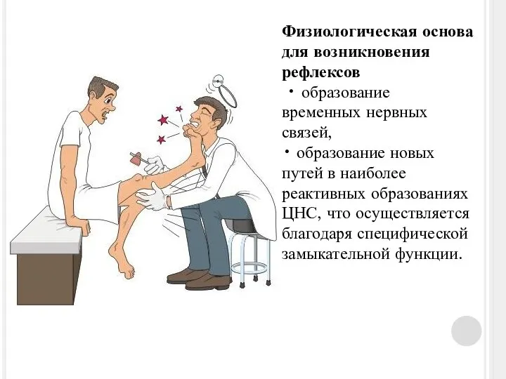 Физиологическая основа для возникновения рефлексов • образование временных нервных связей, • образование