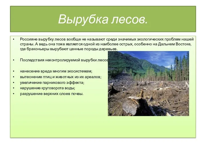 Вырубка лесов. Россияне вырубку лесов вообще не называют среди значимых экологических проблем