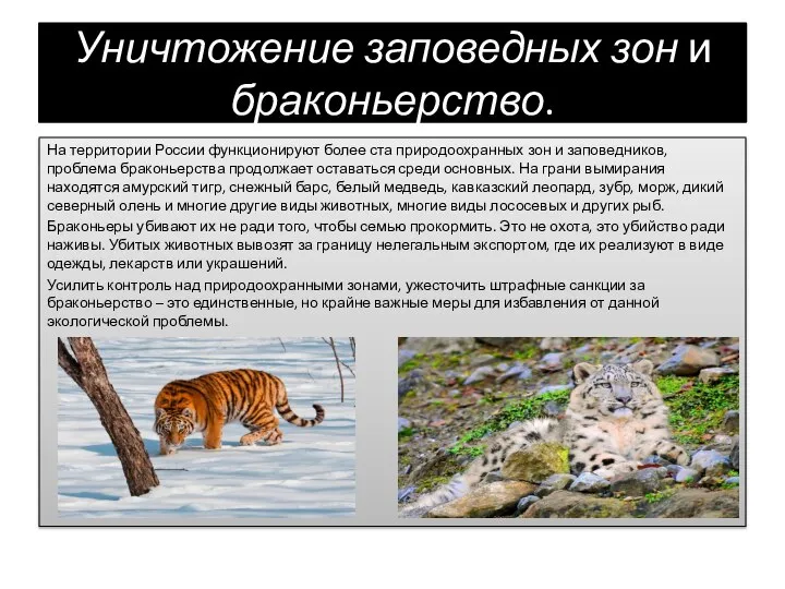 Уничтожение заповедных зон и браконьерство. На территории России функционируют более ста природоохранных