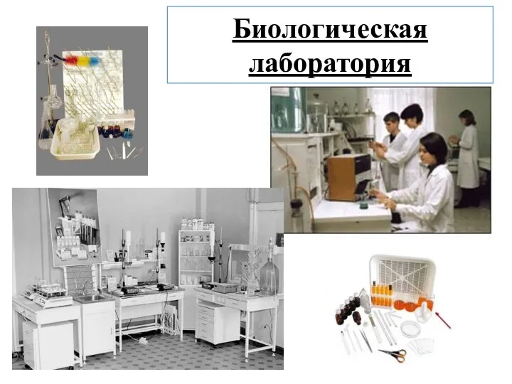 Биологическая лаборатория