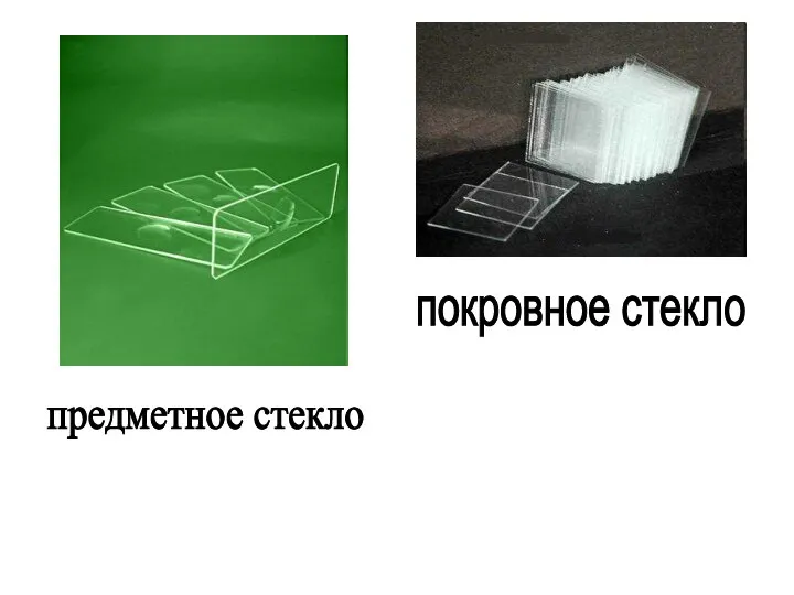 предметное стекло покровное стекло