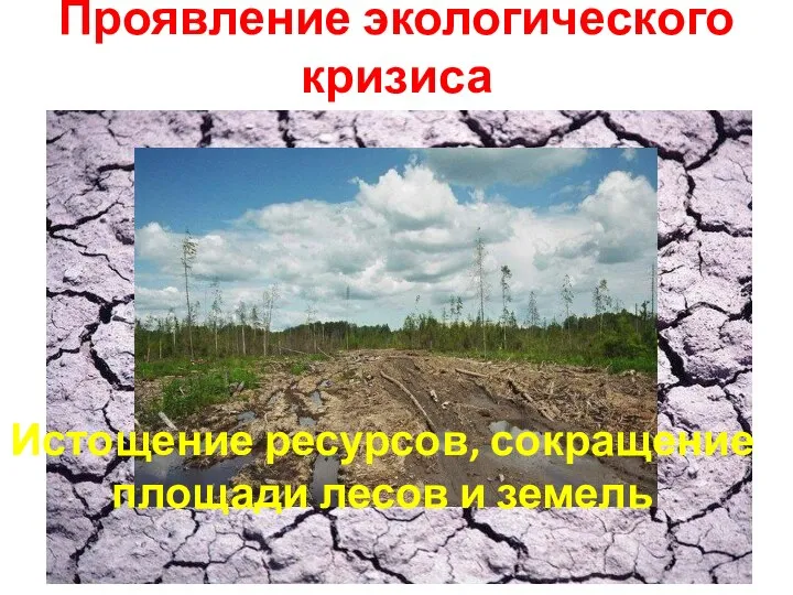 Проявление экологического кризиса Истощение ресурсов, сокращение площади лесов и земель