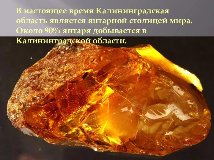 В настоящее время Калининградская область является янтарной столицей мира. Около 90% янтаря добывается в Калининградской области.