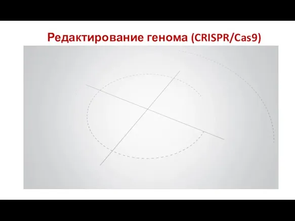 Редактирование генома (CRISPR/Cas9)