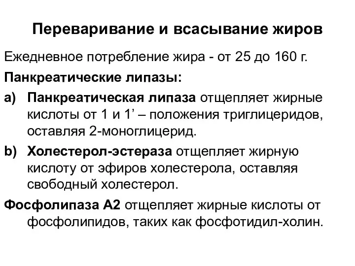 Переваривание и всасывание жиров Ежедневное потребление жира - от 25 до 160