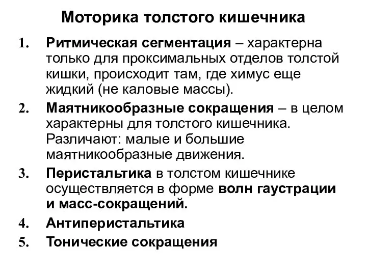 Моторика толстого кишечника Ритмическая сегментация – характерна только для проксимальных отделов толстой