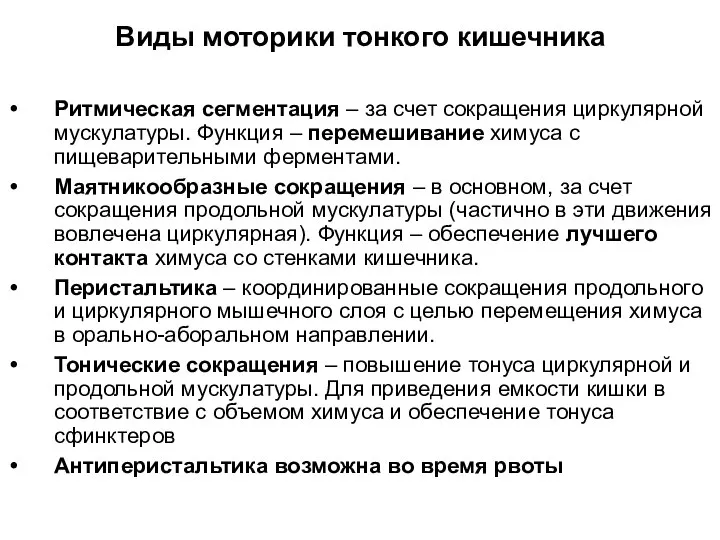 Виды моторики тонкого кишечника Ритмическая сегментация – за счет сокращения циркулярной мускулатуры.