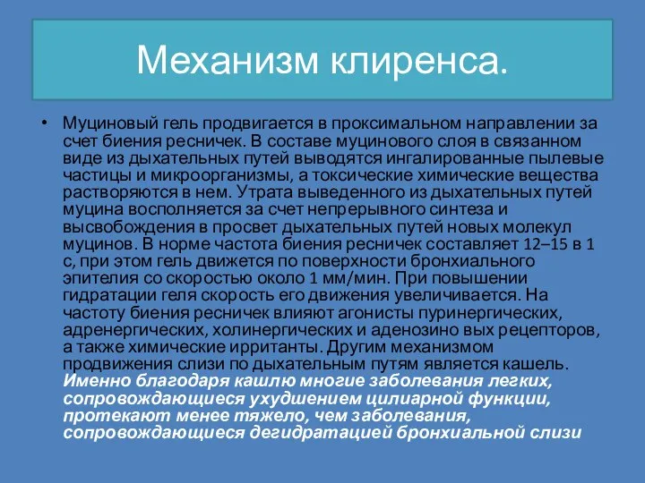 Механизм клиренса. Муциновый гель продвигается в проксимальном направлении за счет биения ресничек.